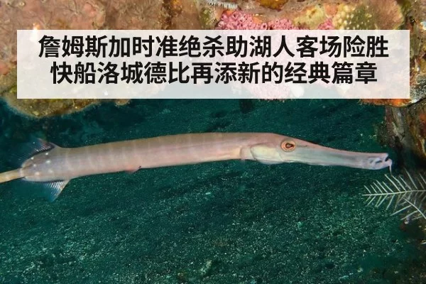 詹姆斯加时准绝杀助湖人客场险胜快船洛城德比再添新的经典篇章